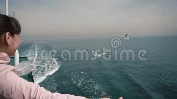 一个来自一艘旅游船的女孩把面包扔给海鸥海鸥在飞机上抓面包视频的预览图