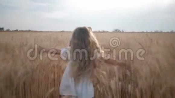 农业综合企业小女孩快乐地跑过收割谷物的田地双手滑过小麦的小穗视频的预览图