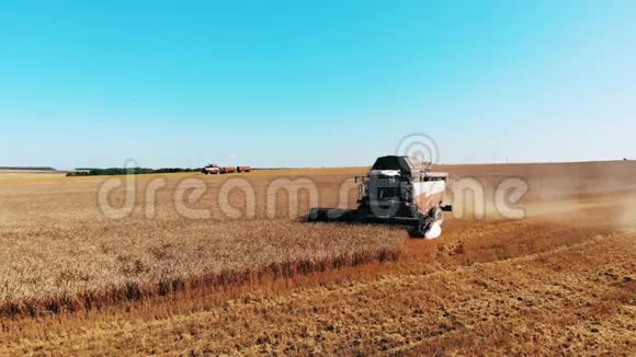 工作收割机在田地上驾驶耕种庄稼视频的预览图