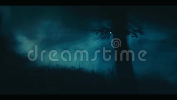 夜晚的树视频的预览图