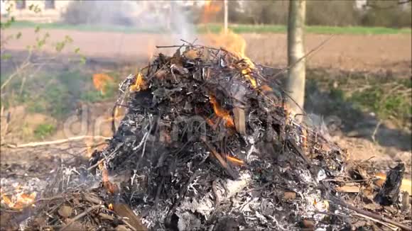 花园里的火和烟视频的预览图