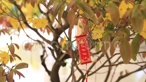 新年快乐白色的背景上有春天的花和木头的横幅令人惊叹的黄色杏花是由粘土制成的视频的预览图