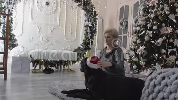美丽的女孩在圣诞照片拍摄与他心爱的狗黑色视频的预览图