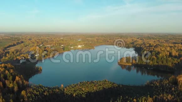 鸟瞰秋天森林和一个小湖视频的预览图