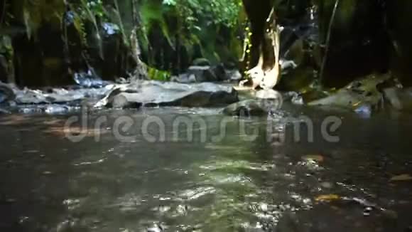 东南亚热带雨林环绕的一条深沟里平静地流淌着水流视频的预览图