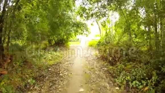 有人沿着竹树林中的小路在湖边架起一座桥通向茶园阿萨姆视频的预览图