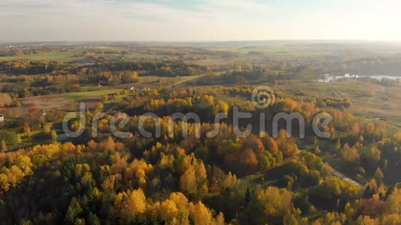鸟瞰秋天的森林和一个小湖视频的预览图