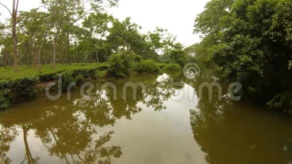 湖映着靠近阿萨姆茶园的树木视频的预览图