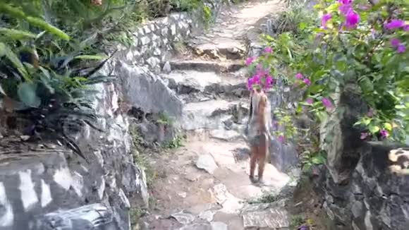 侧景女孩走下通往院子的石阶视频的预览图