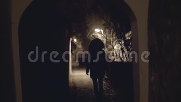 拱门的剪影视频的预览图