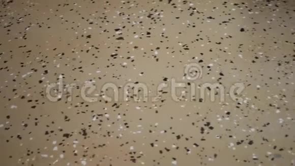 在住宅地下室地板上用透明涂层覆盖环氧地坪视频的预览图