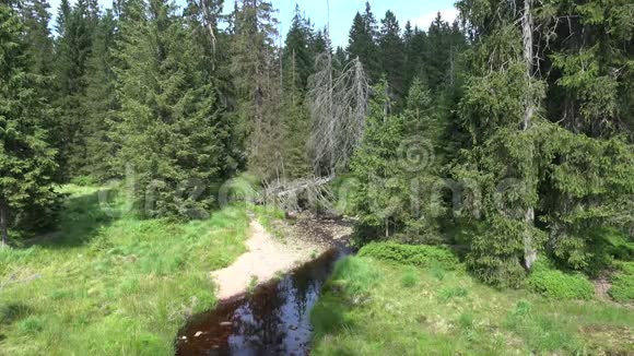 夏季小溪流在阳光明媚的白天在美丽的山脉哈兹森林景观地区奥德特里奇视频的预览图