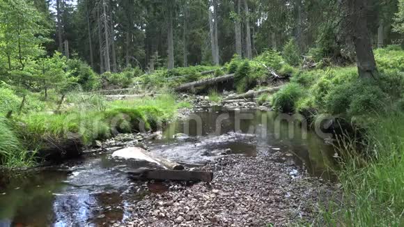 夏季小溪流在阳光明媚的白天在美丽的山脉哈兹森林景观地区奥德特里奇视频的预览图