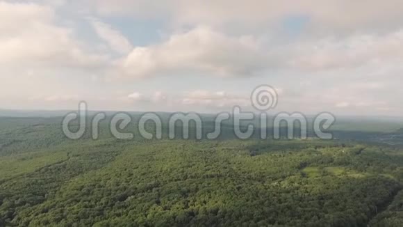 无人机在林区上空的升起视频的预览图