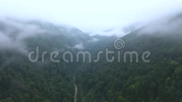 空中的录像在峡谷里飞过河流山坡上的森林被雾覆盖视频的预览图