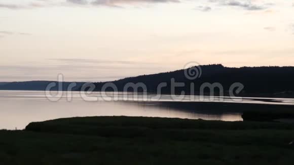 暗黑的湿地和风帽运河沿岸视频的预览图
