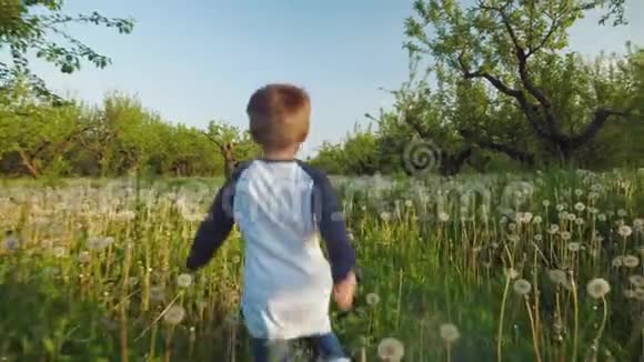一个小男孩在草地上奔跑视频的预览图