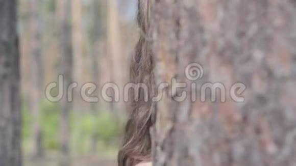 幸福微笑的年轻女子从树干后面看然后又躲藏起来的肖像与野性的统一这就是视频的预览图