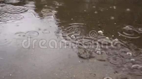 雨落在人行道上的水坑里视频的预览图