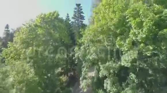 山林中的泥土路空中景观视频的预览图