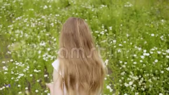 少女采花瓣雏菊草地户外自然视频的预览图
