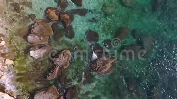 科西嘉岛海岸附近海面上的岩石碎片视频的预览图