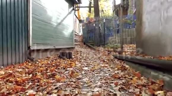 一条被树叶覆盖的狭窄小路直接通向房子之间视频的预览图