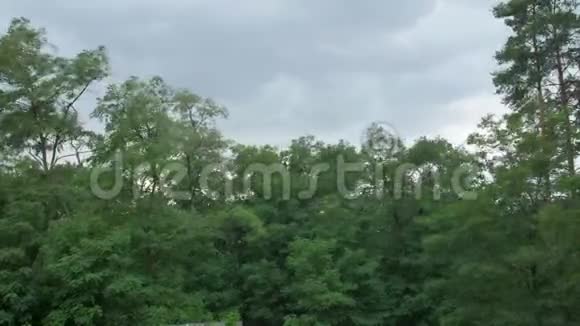 森林里的风暴视频的预览图