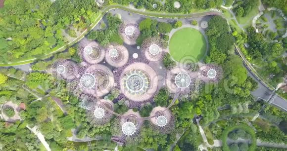 SupertreeGrove的空中镜头无人机正从它上方降落在新加坡海湾的花园视频的预览图