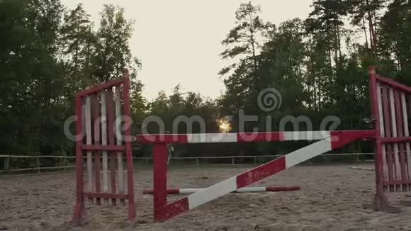 慢动作特写年轻的马女骑马强壮的棕色马在阳光明媚的户外沙滩上跳过栅栏视频的预览图