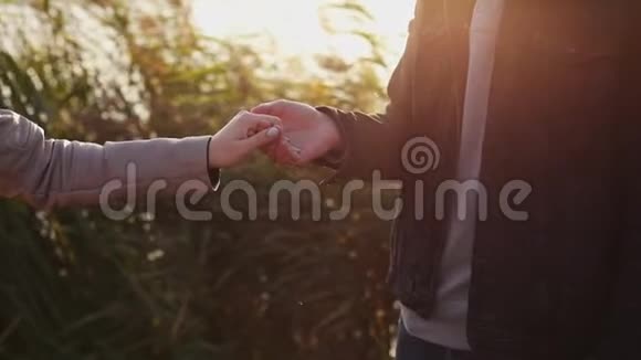 在日落的背景下亲密的情侣牵手观看视频的预览图