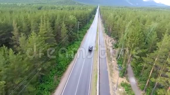孤独的车在森林公路上视频的预览图