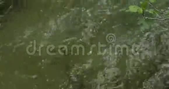 斯克拉丁瀑布斯克拉丁斯基布克克尔卡自然公园靠近克罗地亚达马尔蒂亚的西贝尼克实时视频的预览图