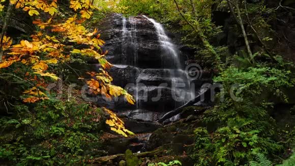 美丽的高瀑布观在奥拉西峡与五颜六色的秋天叶视频的预览图