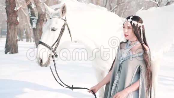 一位勇敢的模特在美丽的冬季森林中和白色的飞马一起为照相机摆姿势美丽迷人的黑暗公主迷人视频的预览图