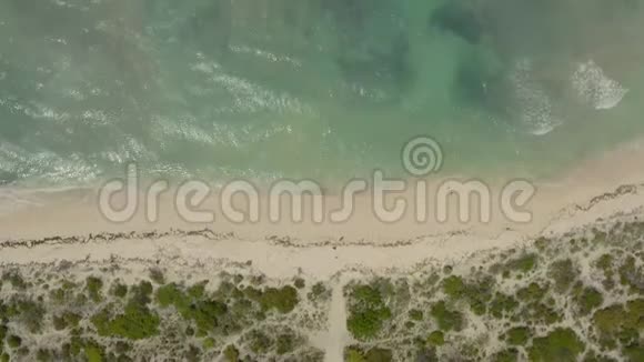 加勒比海大特克海岸和水下珊瑚礁的空中拍摄视频的预览图
