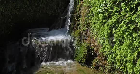 斯克拉丁瀑布斯克拉丁斯基布克克尔卡自然公园克罗地亚达马尔蒂亚的西贝尼克附近视频的预览图