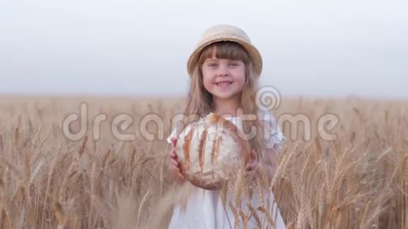 快乐的农夫女儿可爱的小女孩吃着美味的新鲜烤根开心地笑着呆在金黄的大麦里视频的预览图