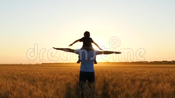 父亲和儿子在日落时在麦田里玩耍描绘一只鸟或一架飞机家庭幸福视频的预览图