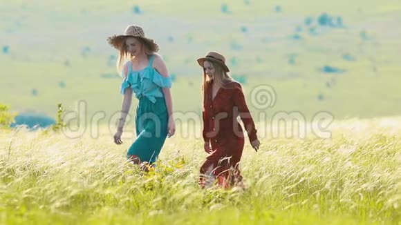 阳光明媚的一天两个年轻的女人在田野上散步视频的预览图