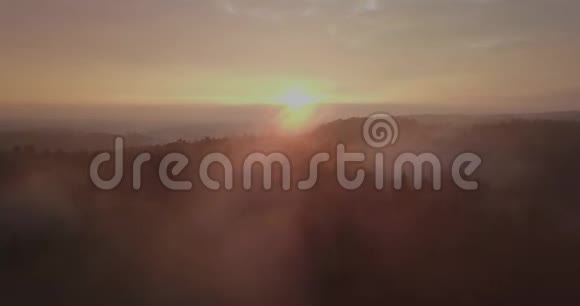 欧洲立陶宛雾蒙蒙的森林上空的日落视频的预览图