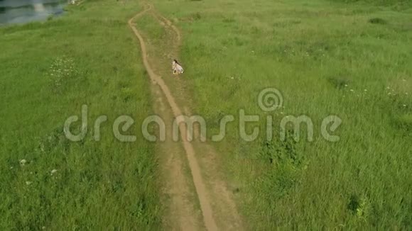 在乡村小路上拥抱妈妈和她的小孩的鸟瞰图视频的预览图