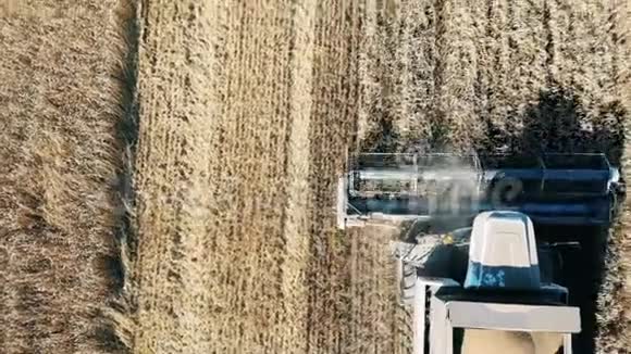 收割机收割庄稼现代联合收割小麦的空中景观视频的预览图