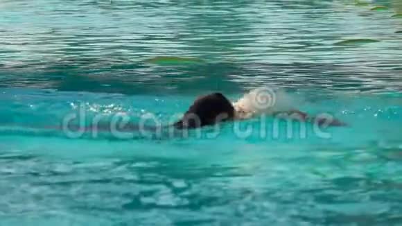 女孩游泳风格在游泳池里爬行视频的预览图
