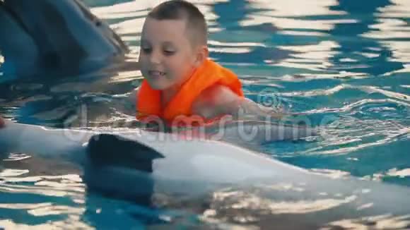 在游泳池里和海豚一起游泳的男孩视频的预览图