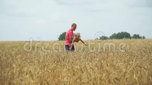 有父亲的小女孩在田野里嬉戏视频的预览图