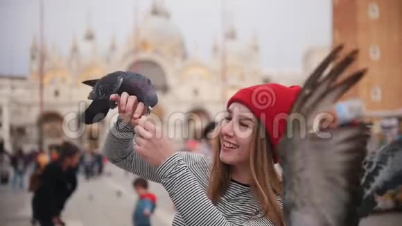 一只鸽子坐在一个年轻女人的手上啄食她的面包另一只鸽子飞起来坐在她的手上视频的预览图