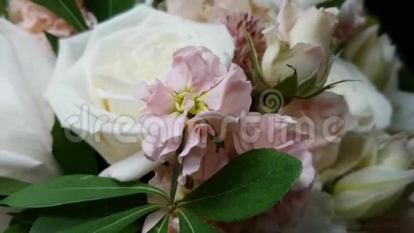 慢旋转的一束绣球花康乃馨玫瑰为节日准备精致的花束婚礼装饰视频的预览图