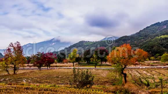 中国湖北省大别山令人惊叹的秋景视频的预览图