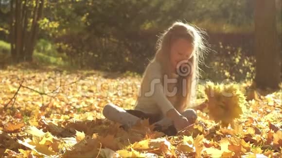 秋天公园里小女孩坐在地上一边收集黄叶视频的预览图